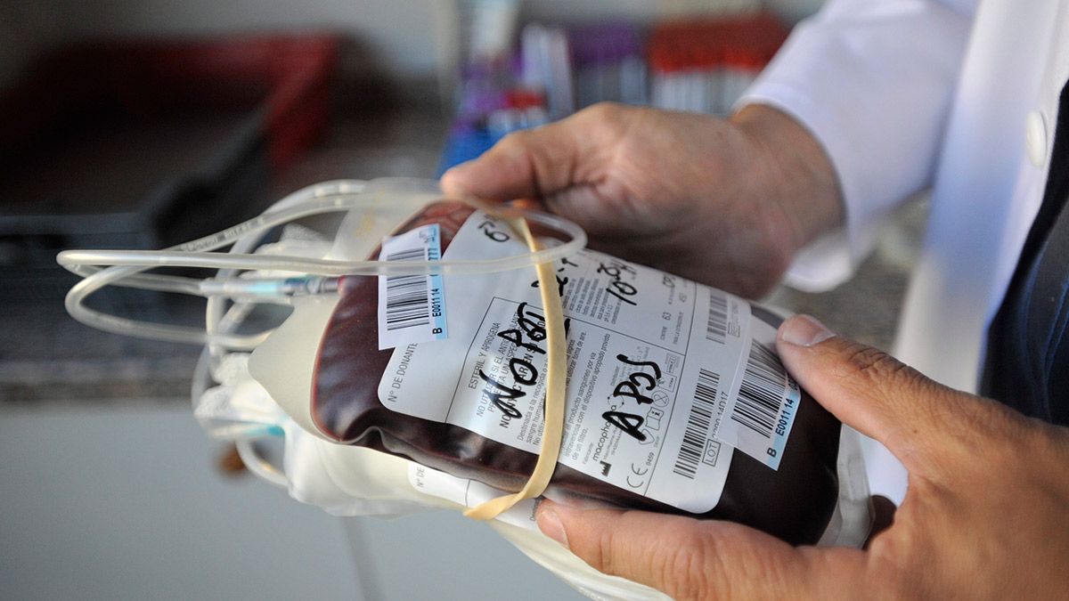 Las donaciones de sangre son imprescindibles para asegurar la asistencia sanitaria. | DANIEL MARTÍN