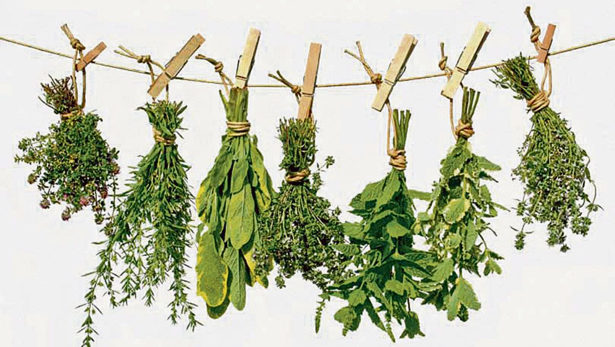 Varias plantas medicinales secando para su posterior uso en diversos males. | L.N.C.