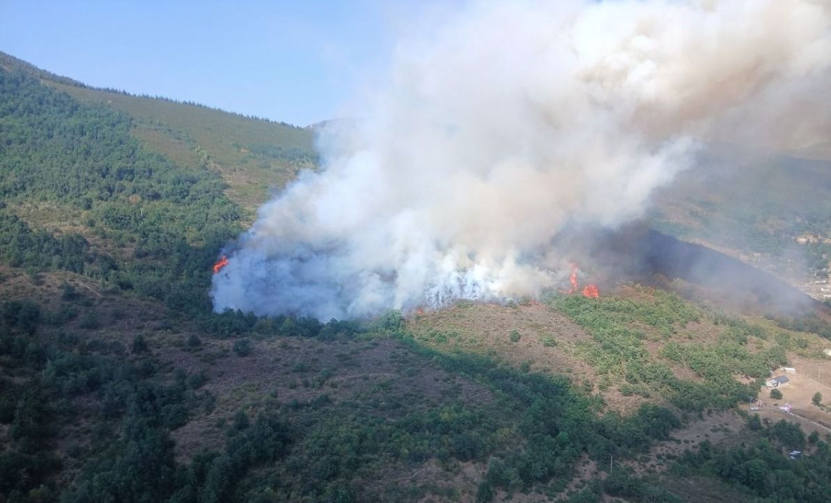 Incendio en Caboalles de Abajo | NATURALEZA CASTILLA Y LEÓN Incendio en Caboalles de Abajo | NATURALEZA CASTILLA Y LEÓN