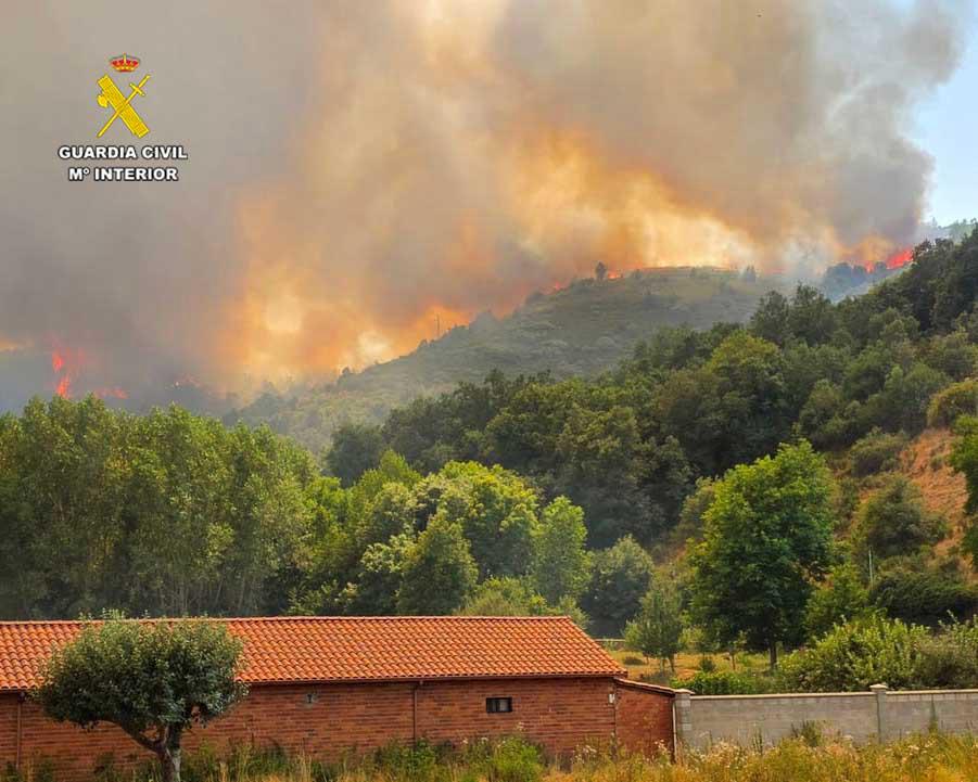 Incendio forestal declarado el pasado 28 de julio | L.N.C.