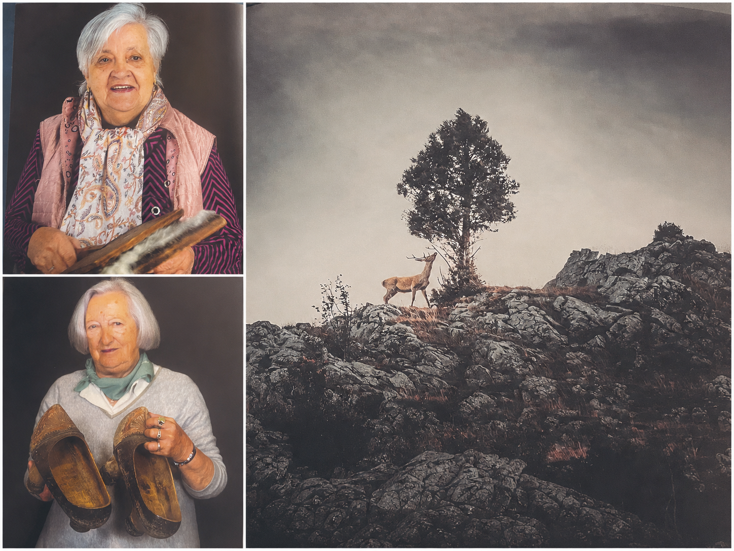Dos de las mujeres que ofrecen sus testimonios , del folleto ‘Panes y flores. Mujeres en la Montaña Leonesa’ y una ilustración de Elena Cebrián