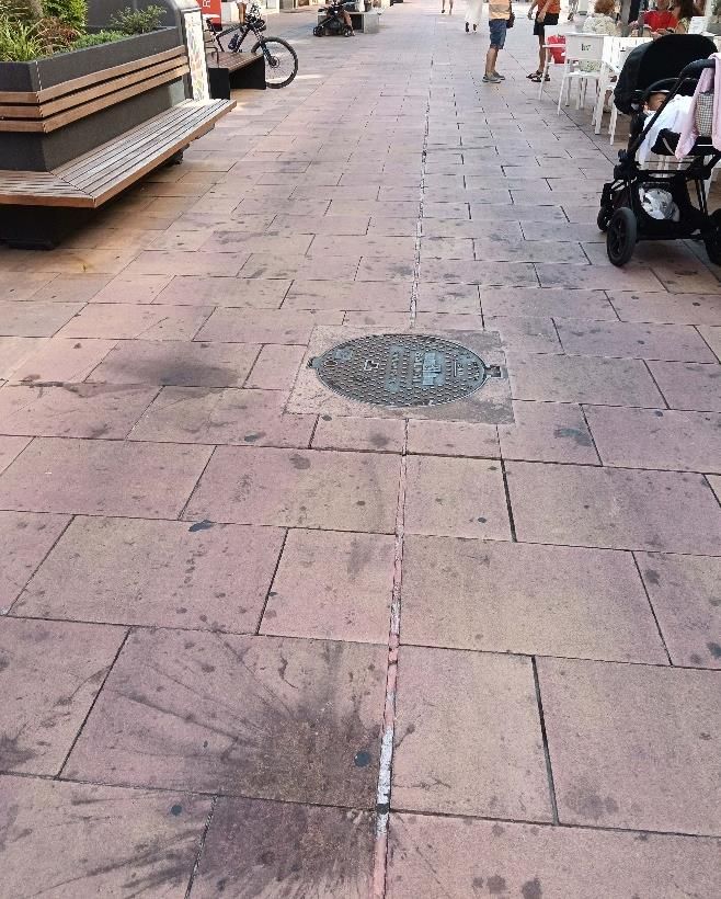 Imagen de una de las calles de León afectadas por la suciedad. | L.N.C.