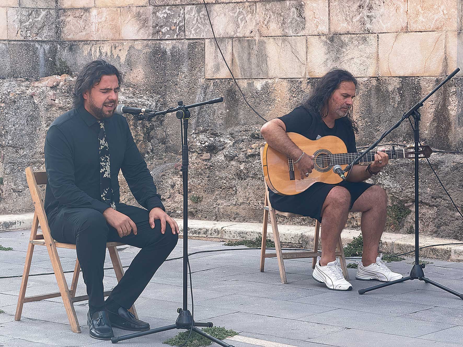 Al ritmo de palma y guitarra 