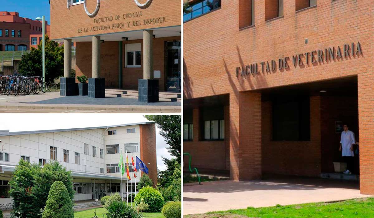 Imágenes de archivo de las facultades más destacadas de la ULE en el ranking de Shanghái. | L.N.C.