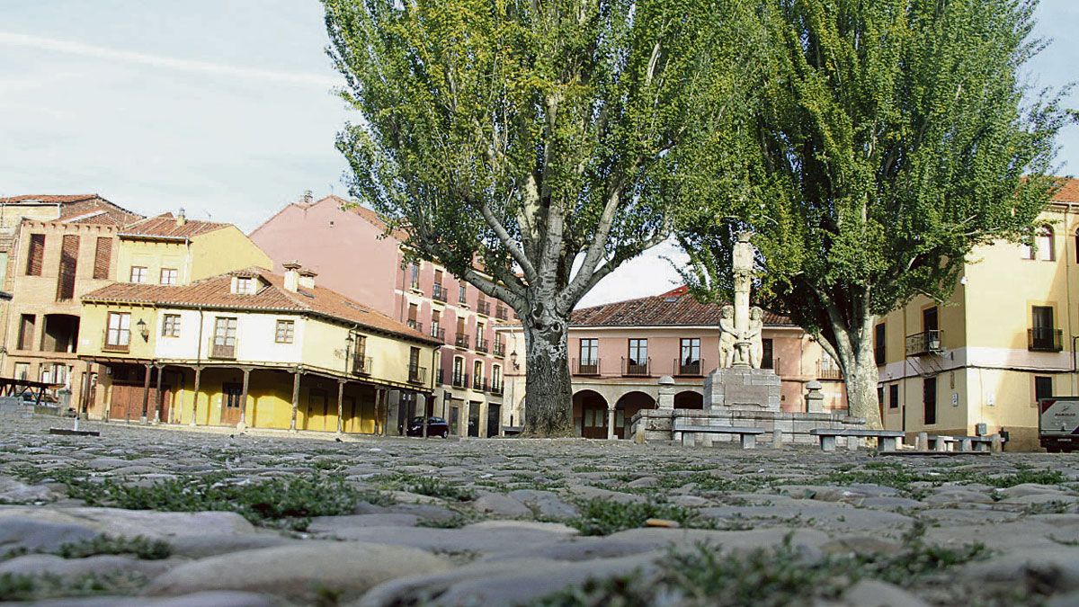 Imagen de la emblemática Plaza del Grano de León. | JUAN LUIS GARCÍA