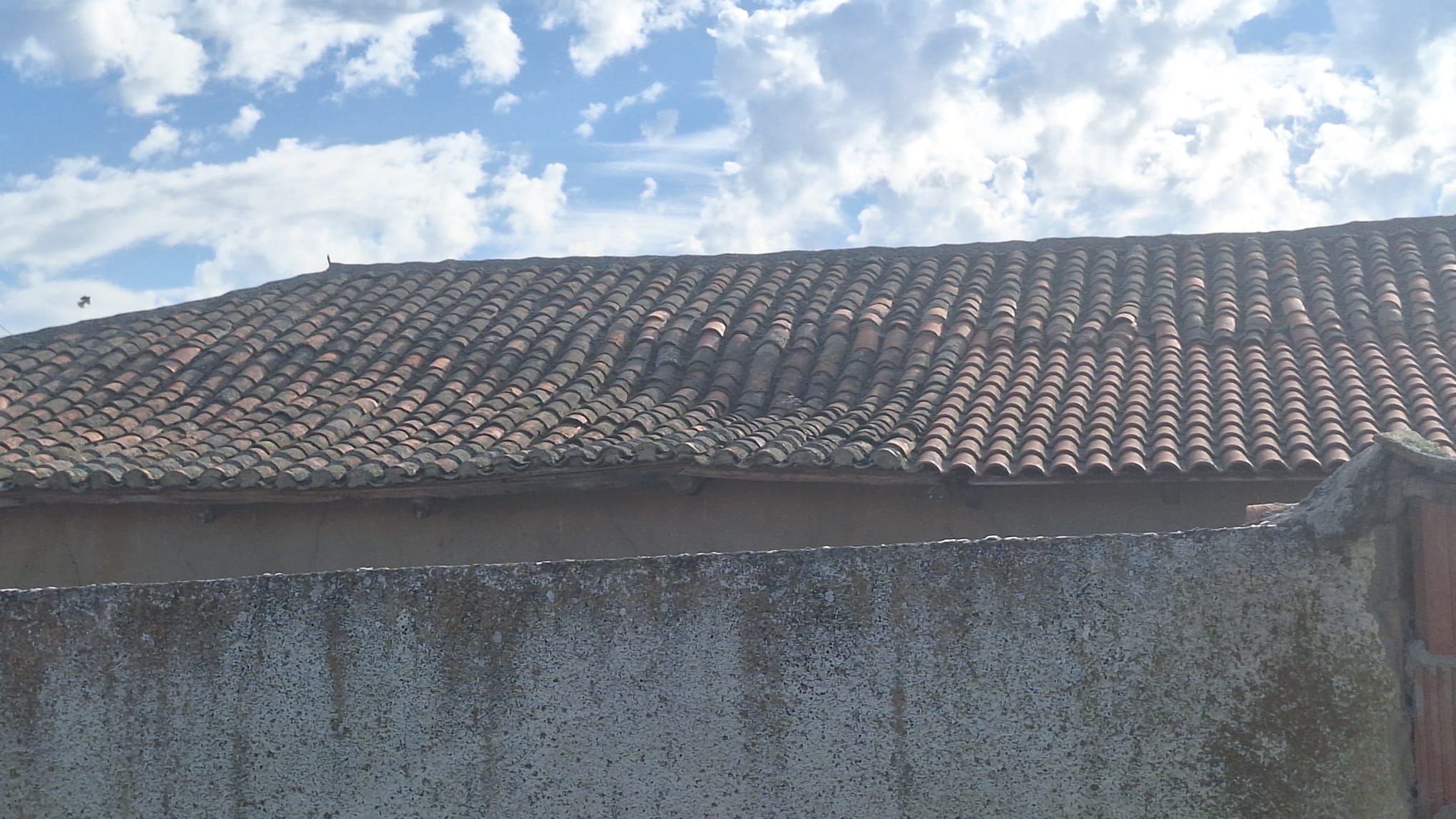 Estado deteriorado que presentaba anteriormente el tejado del inmueble. | L.N.C. Estado deteriorado que presentaba anteriormente el tejado del inmueble. | L.N.C.