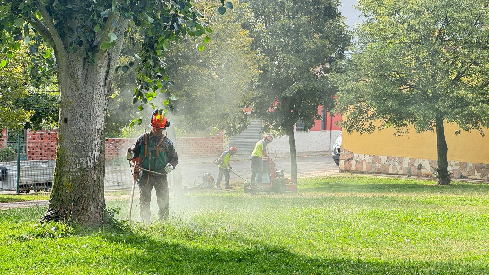 Labores de desbroce en San Andrés. | L.N.C.