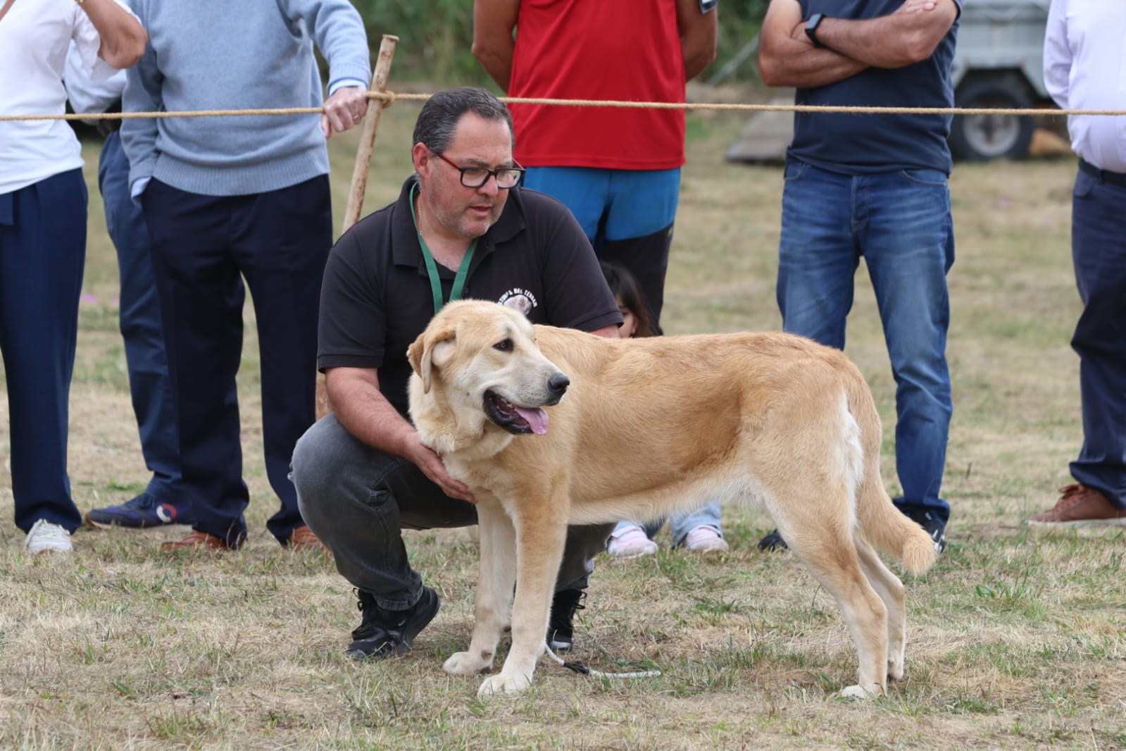 Concurso de Mastín Leonés en San Emiliano. | FERNANDO OTERO
