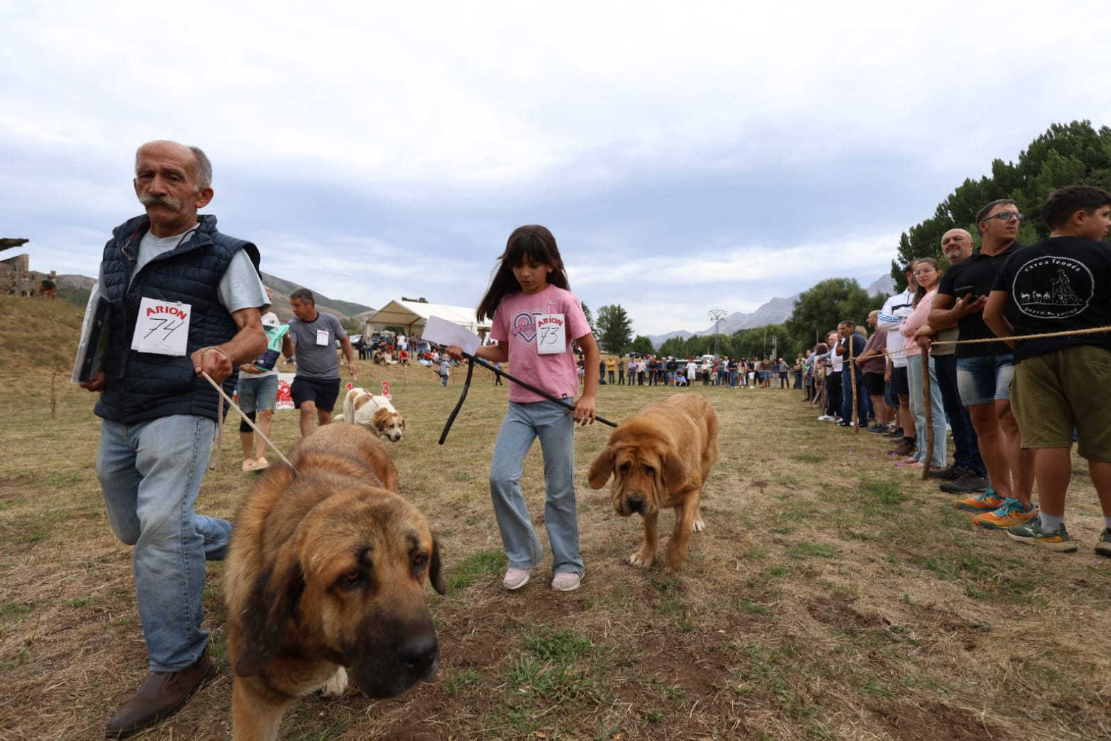 Concurso de Mastín Leonés en San Emiliano. | FERNANDO OTERO