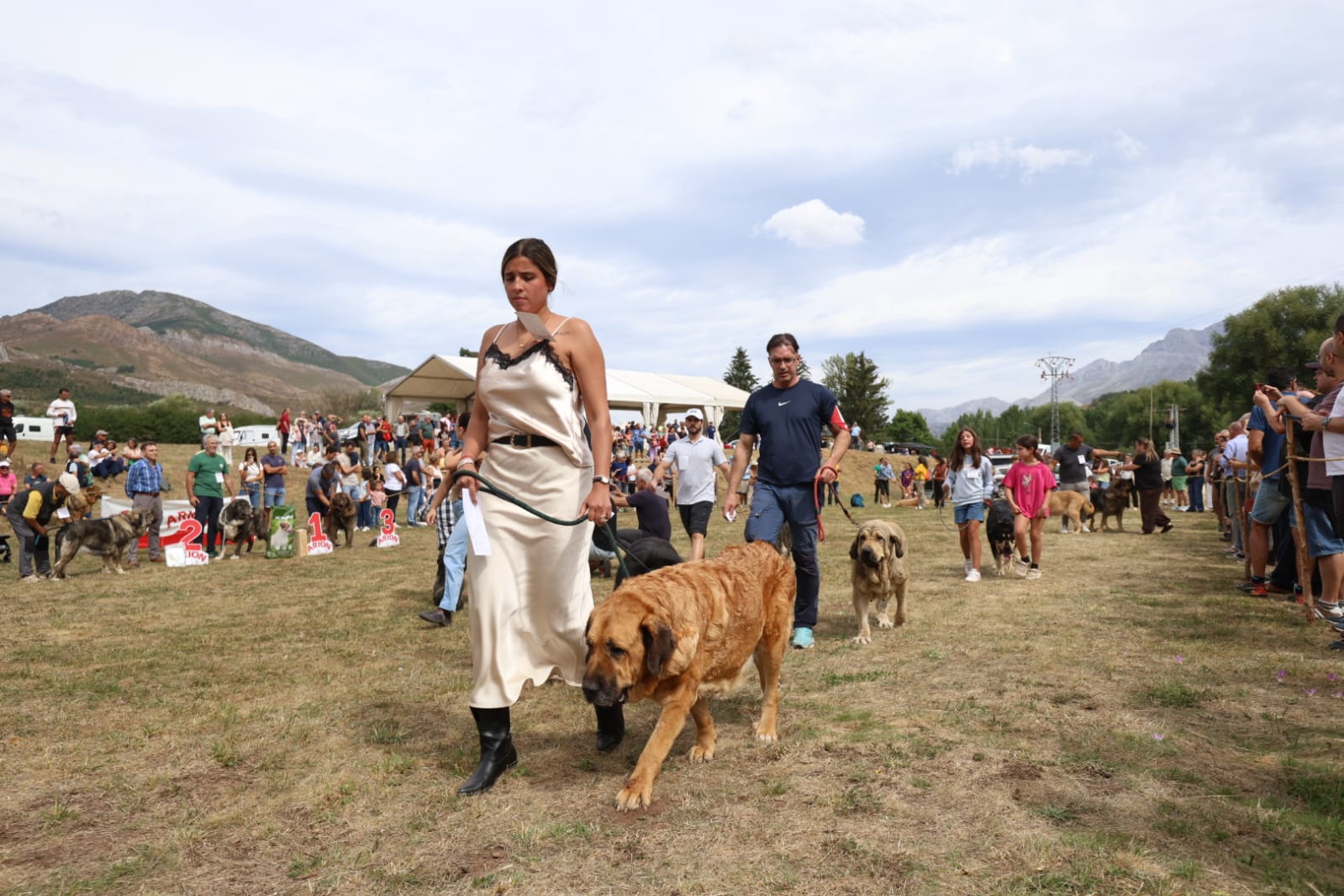 Concurso de Mastín Leonés en San Emiliano. | FERNANDO OTERO