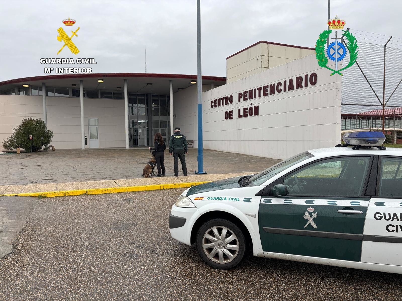 La Unidad Canina Penitenciaria sorprendió la droga durante las visitas a familiares de los internos de la cárcel de León. | GUARDIA CIVIL