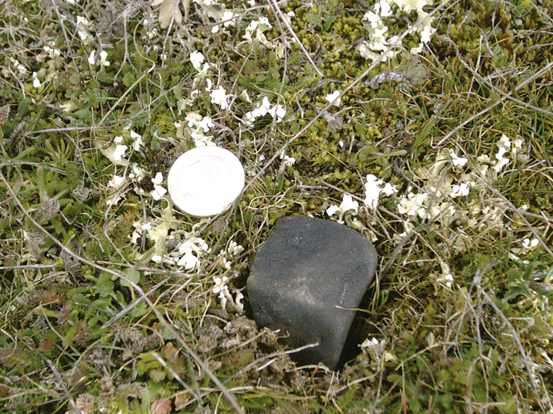 Meteorito encontrado por miembros de la asociación. | ALA