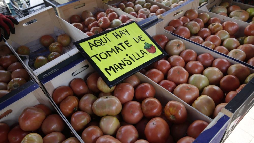 La cita reunirá, un año más, a productores locales y reconocerá los mejores tomates. | FERNANDO OTERO La cita reunirá, un año más, a productores locales y reconocerá los mejores tomates. | FERNANDO OTERO