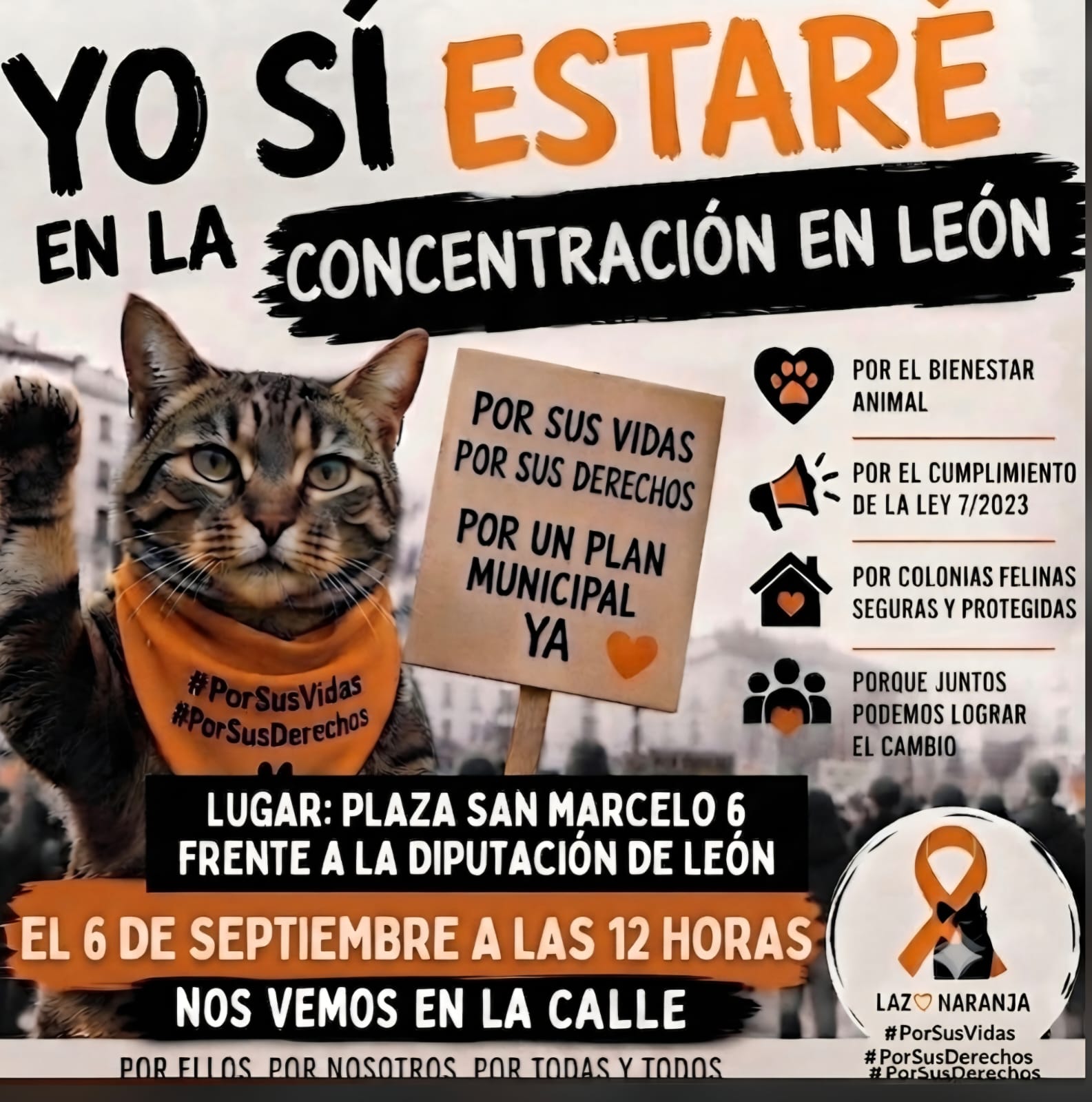 Cartel de la convocatoria en León de la protesta de las cuidadoras de colonias felinas este 6 de septiembre.