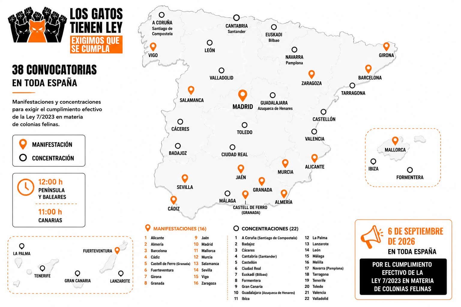 gatos colonias (2)