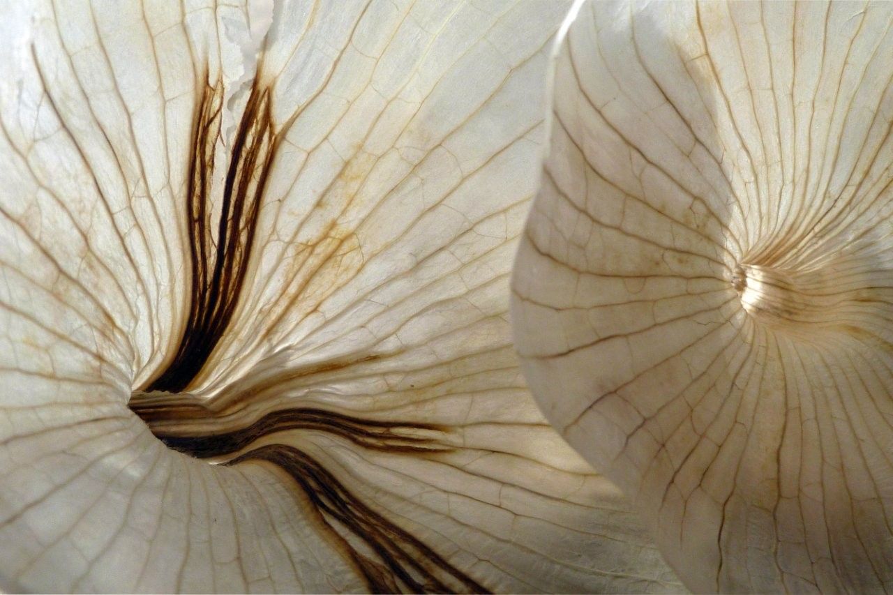 Una de las imágenes galardonadas en este XII Certamen de Artes Visuales del Camarote Madrid. | ANA MARÍA LORETO GARCÍA FERNÁNDEZ