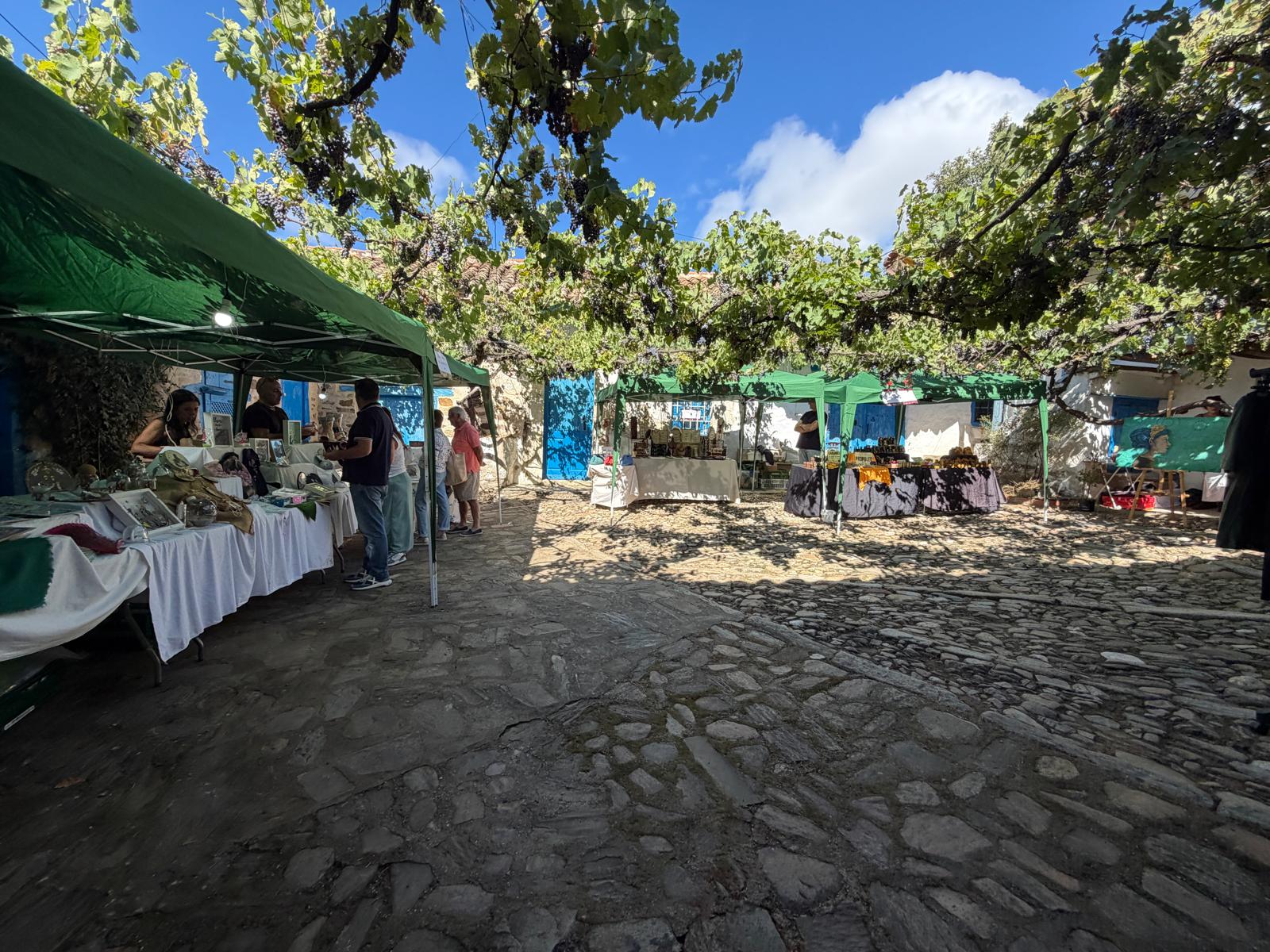 Feria de 'Patios con Arte' de Santa Colomba de Somoza. | SAÚL ARÉN