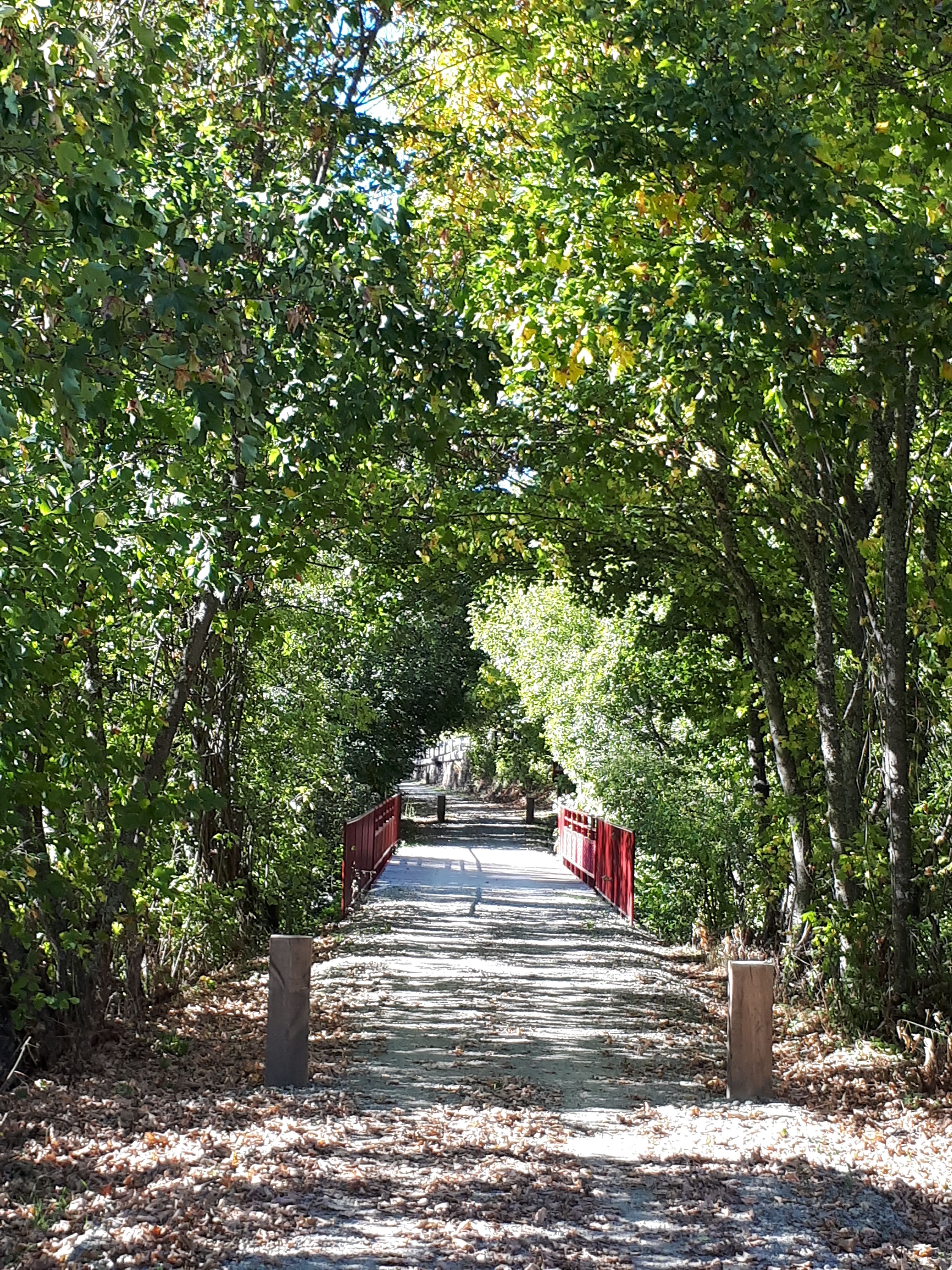 La primera ruta recorrerá el Camino Natural entre Villablino y Villaseca. | TURISMO LACIANA