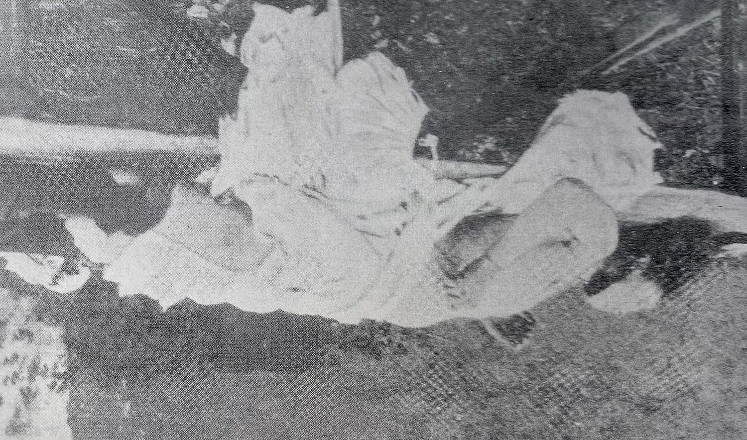 Una de las imágenes más antiguas que crímenes ocurridos en la provincia de León, fue en 1904 y bautizado como ‘El crimen de Valdelafuente’ Una de las imágenes más antiguas que crímenes ocurridos en la provincia de León, fue en 1904 y bautizado como ‘El crimen de Valdelafuente’
