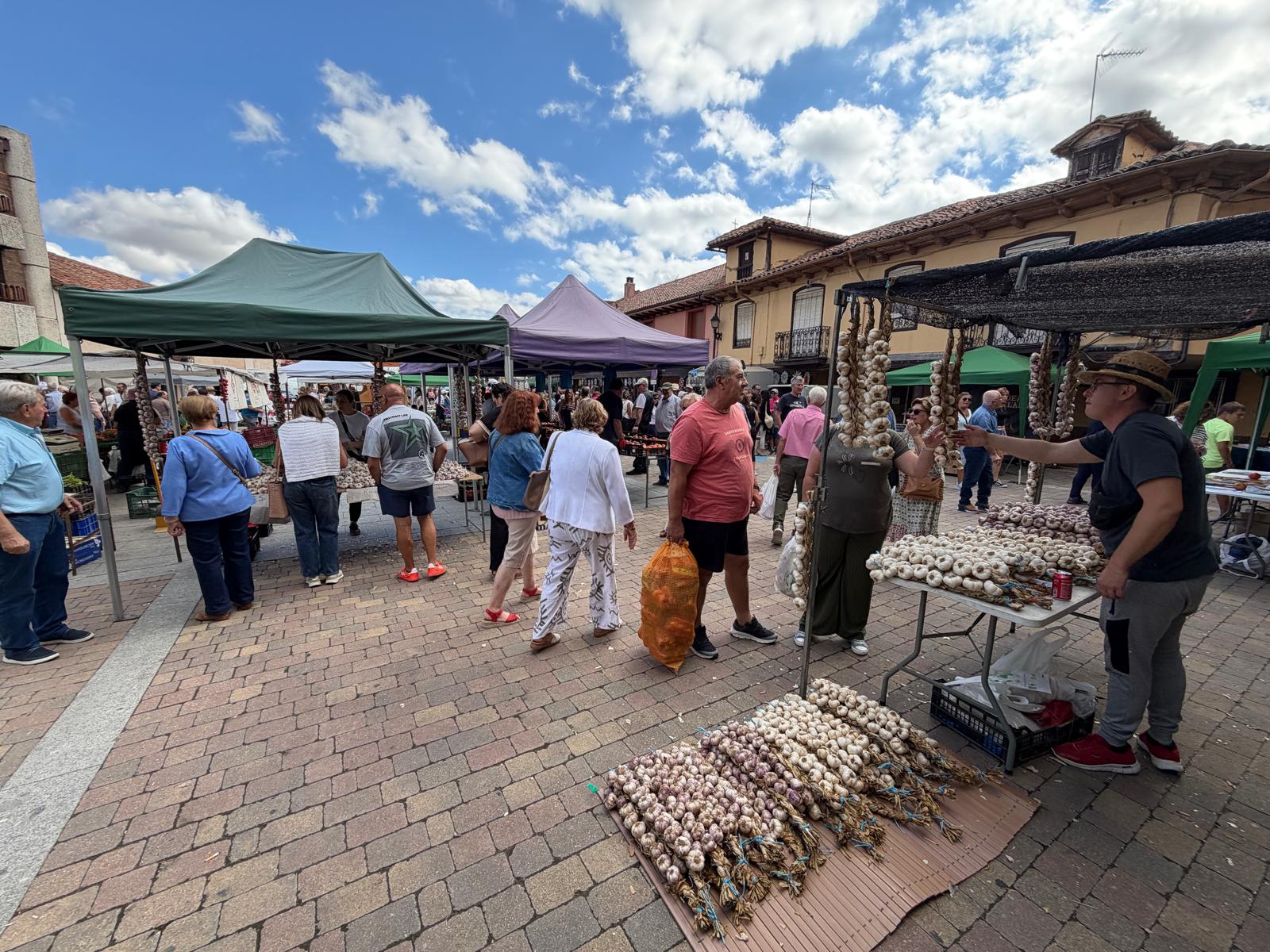 Feria del Tomate de Mansilla de las Mulas Feria del Tomate de Mansilla de las Mulas