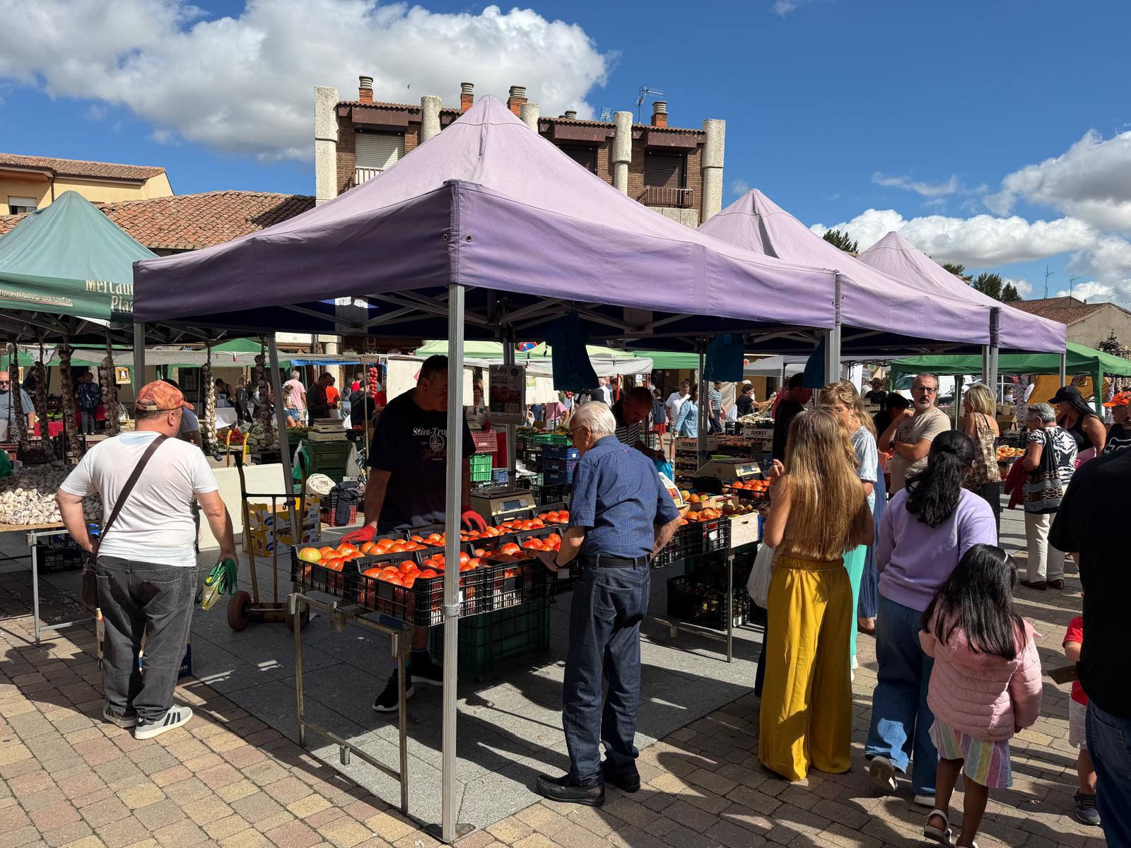 Feria del Tomate de Mansilla de las Mulas 