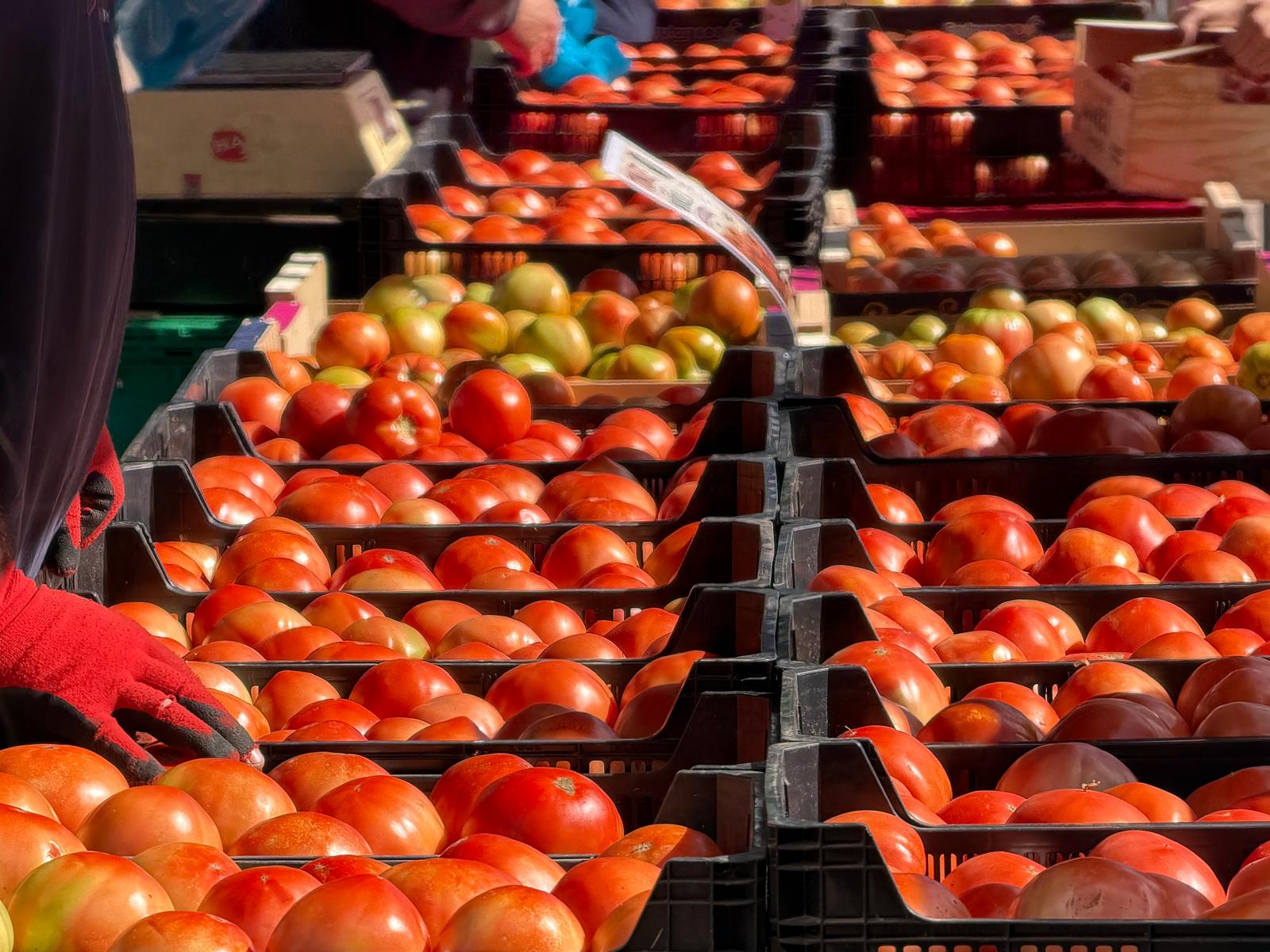Feria del Tomate de Mansilla de las Mulas