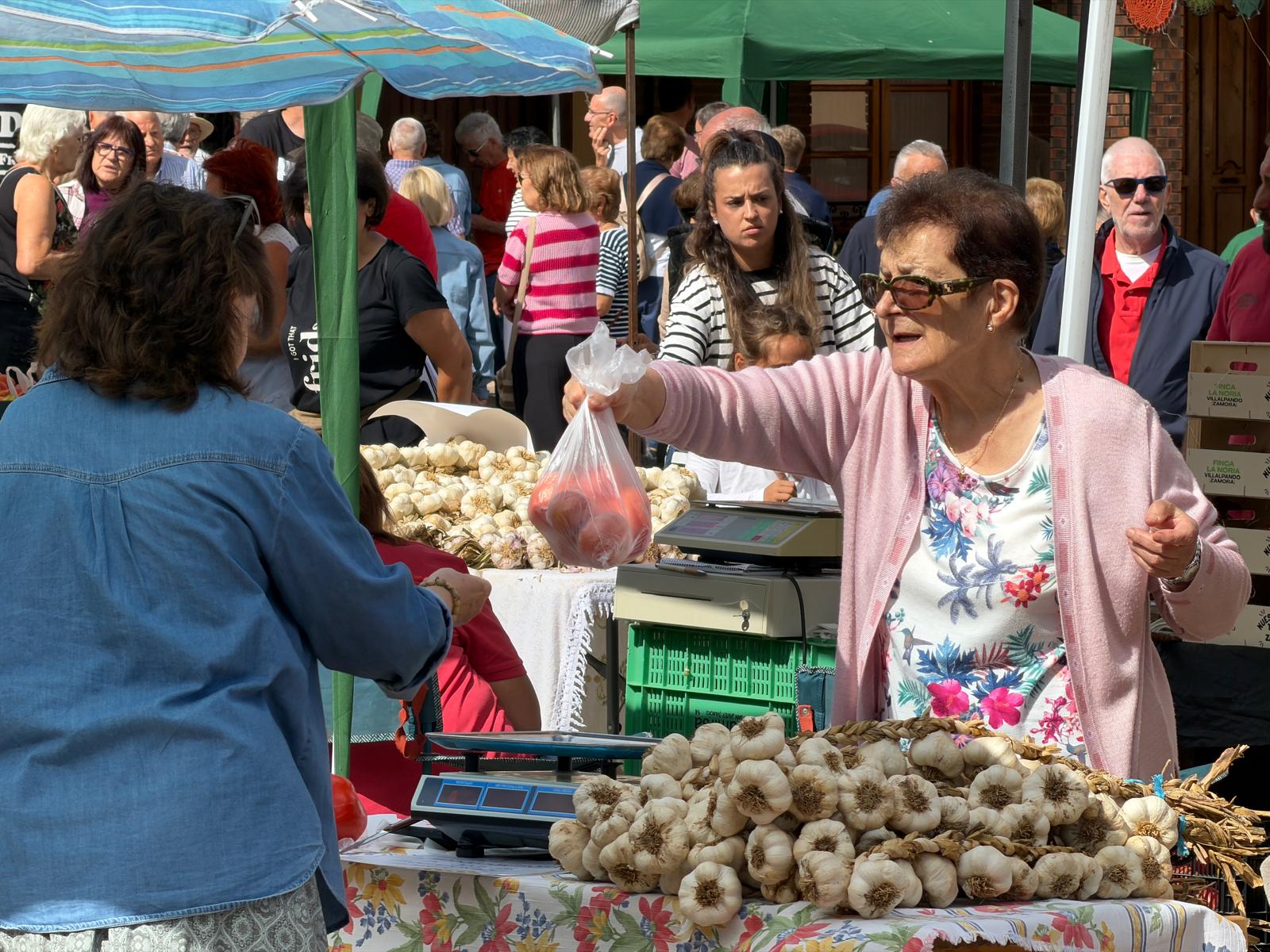 Feria del Tomate de Mansilla de las Mulas 