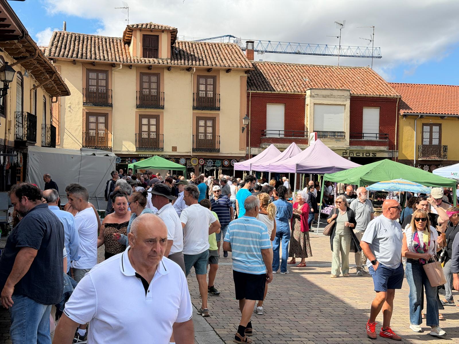 Feria del Tomate de Mansilla de las Mulas 