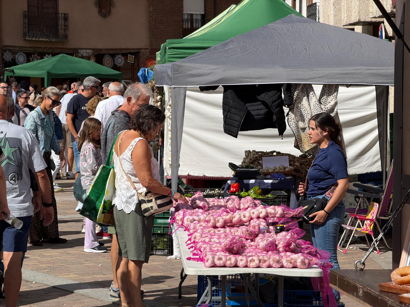 Feria del Tomate de Mansilla de las Mulas 
