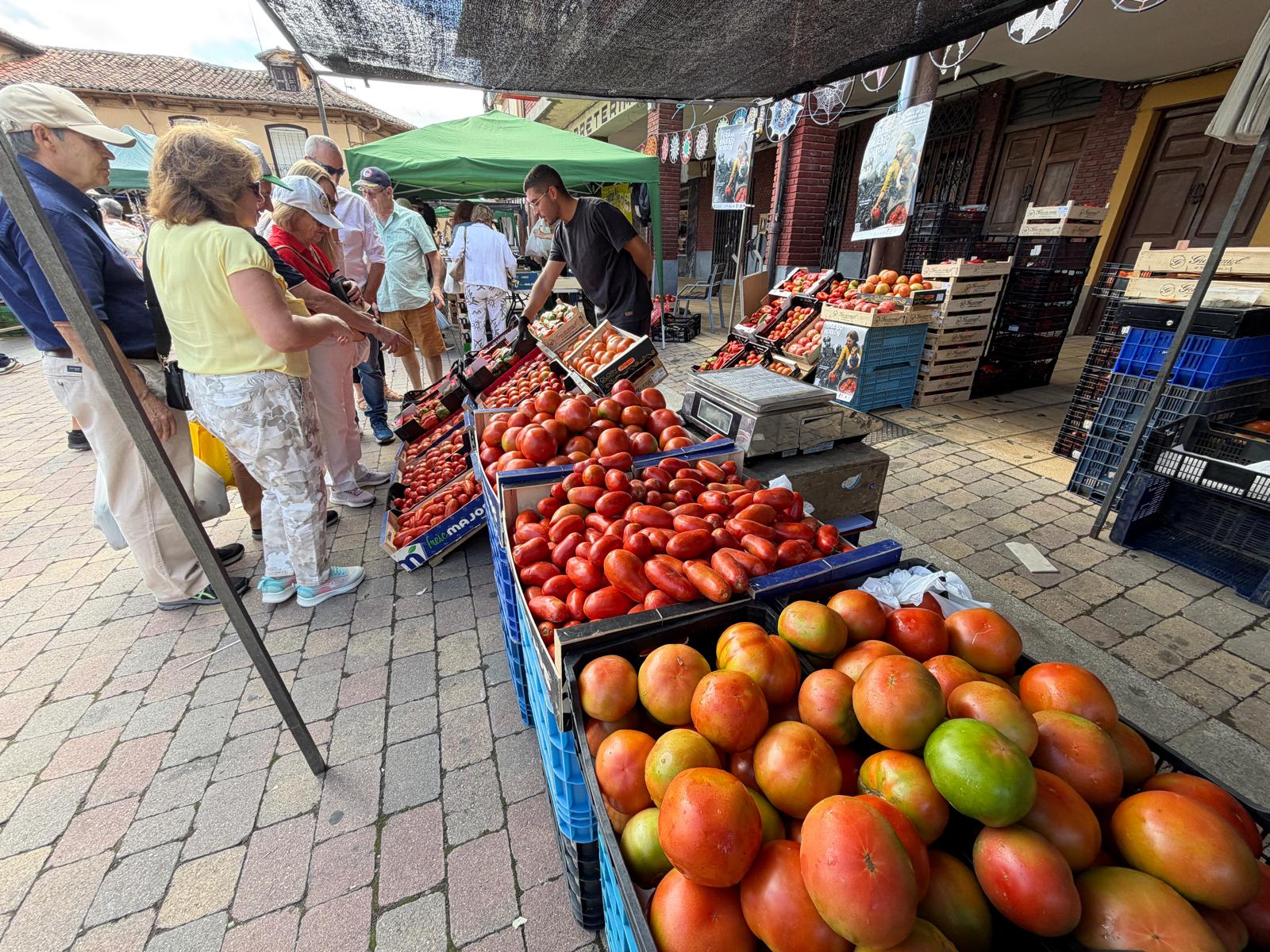 Feria del Tomate de Mansilla de las Mulas 