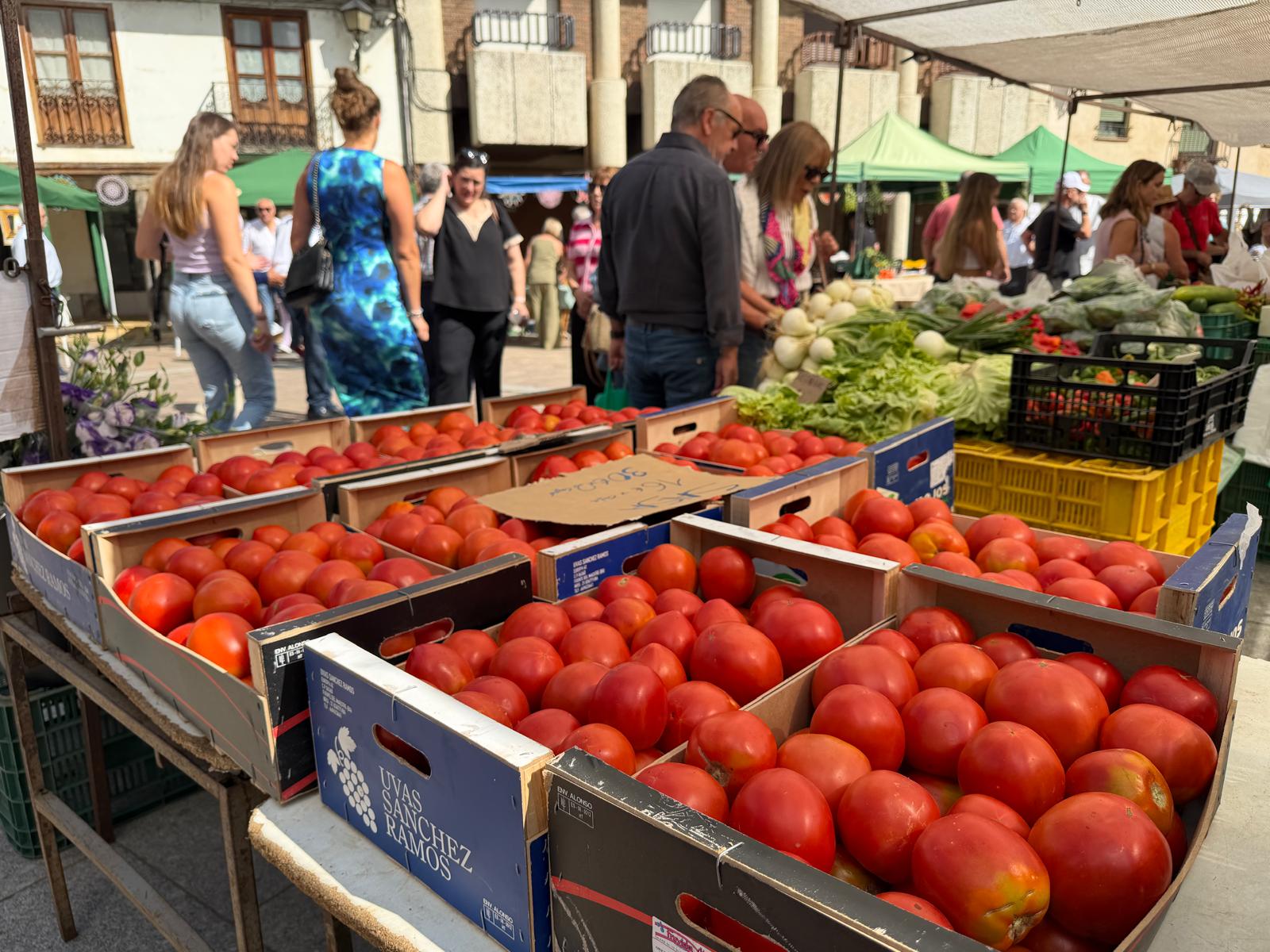 Feria del Tomate de Mansilla de las Mulas