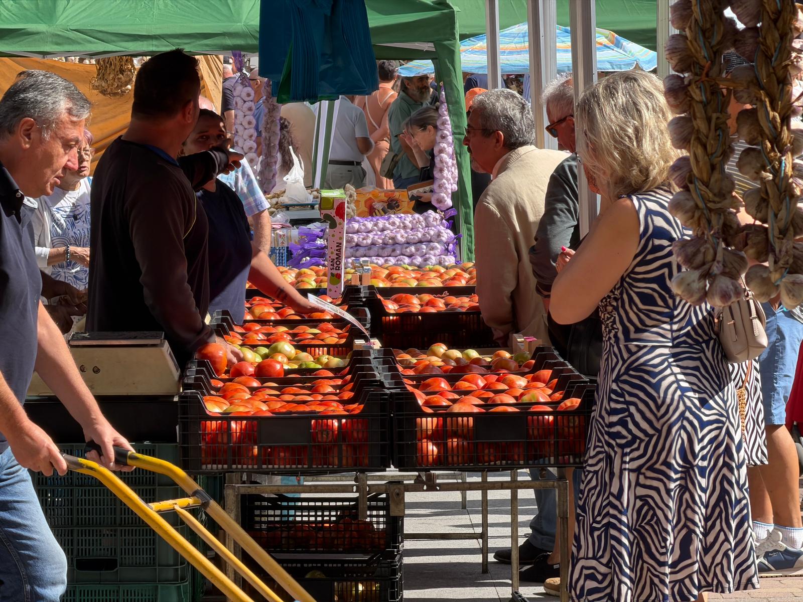 Feria del Tomate de Mansilla de las Mulas 