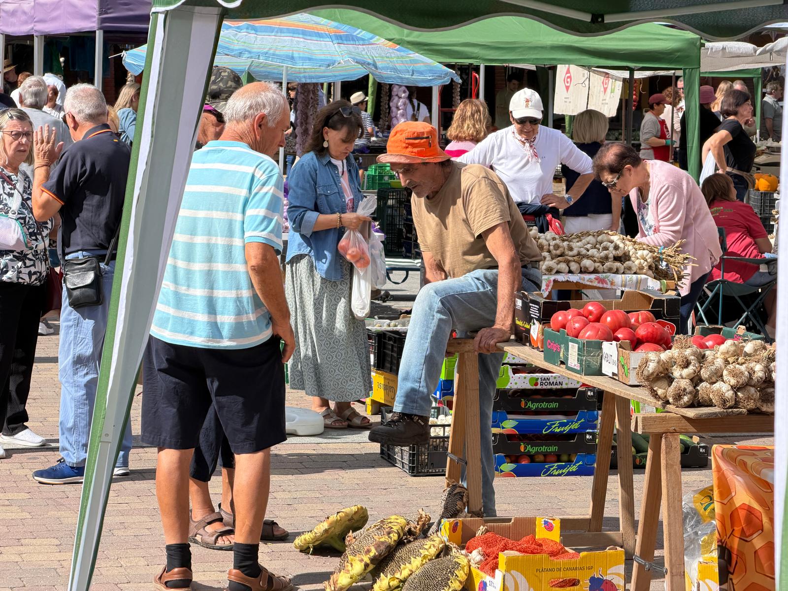 Feria del Tomate de Mansilla de las Mulas