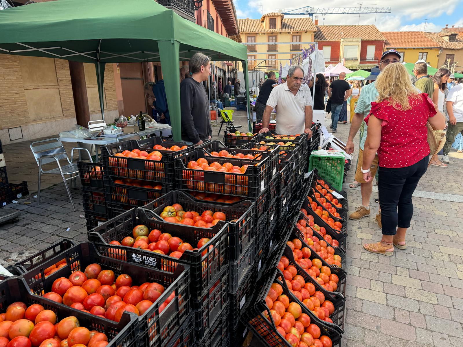 Feria del Tomate de Mansilla de las Mulas