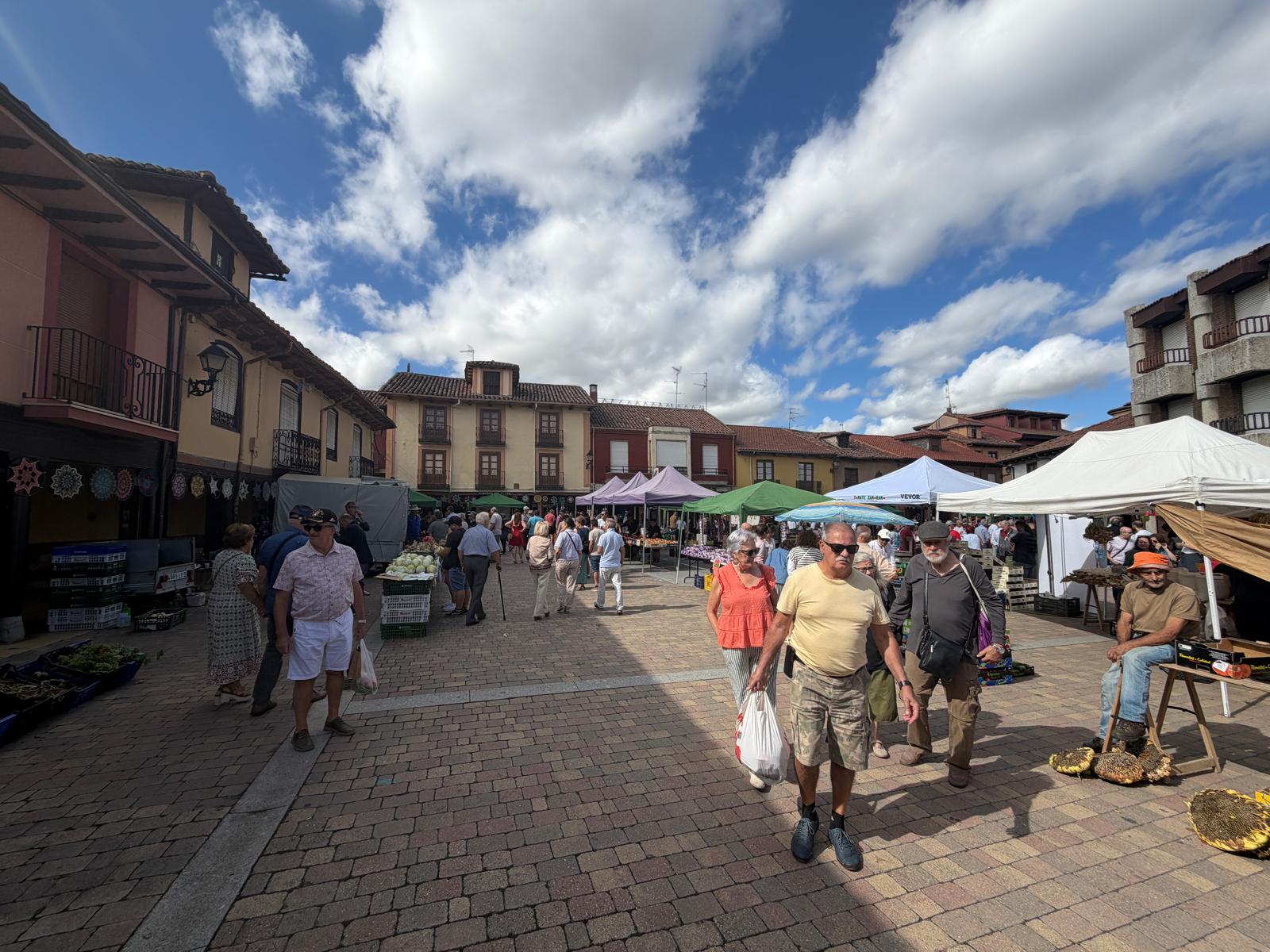 Feria del Tomate de Mansilla de las Mulas 
