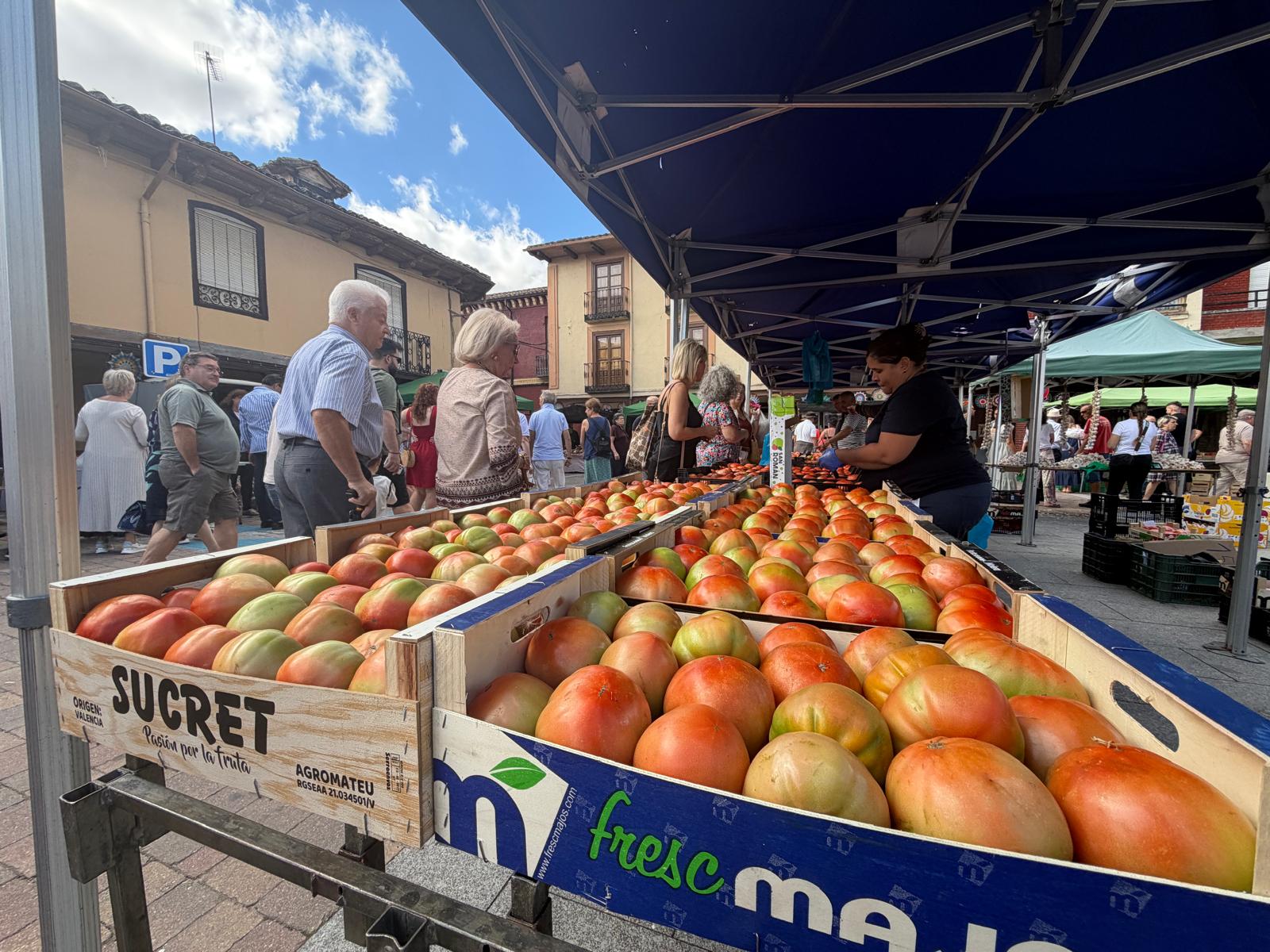 Feria del Tomate de Mansilla de las Mulas 
