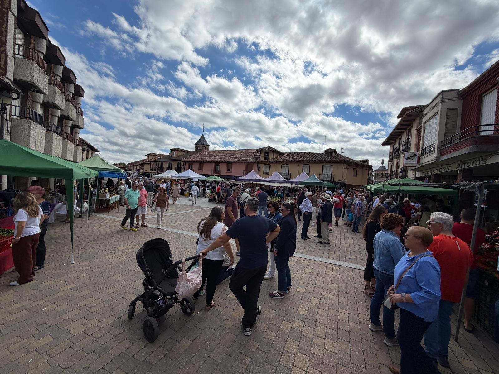 Feria del Tomate de Mansilla de las Mulas 