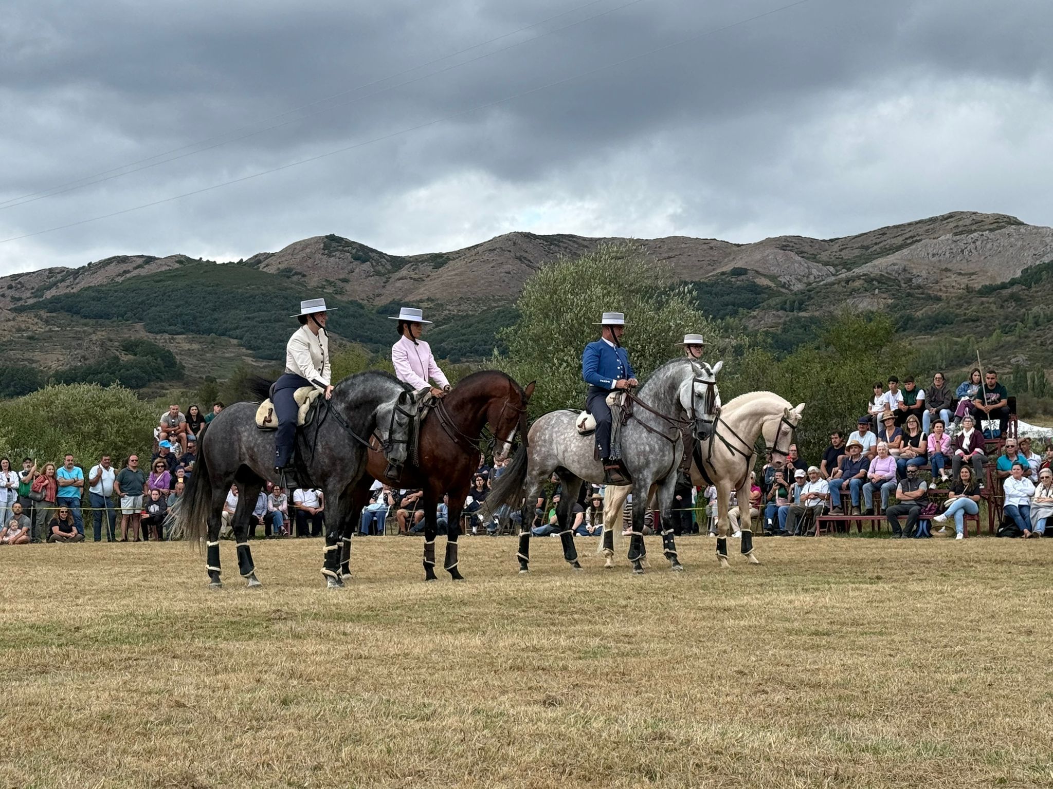 Feria Ganadera de Valle de Reyero. | L.N.C.
