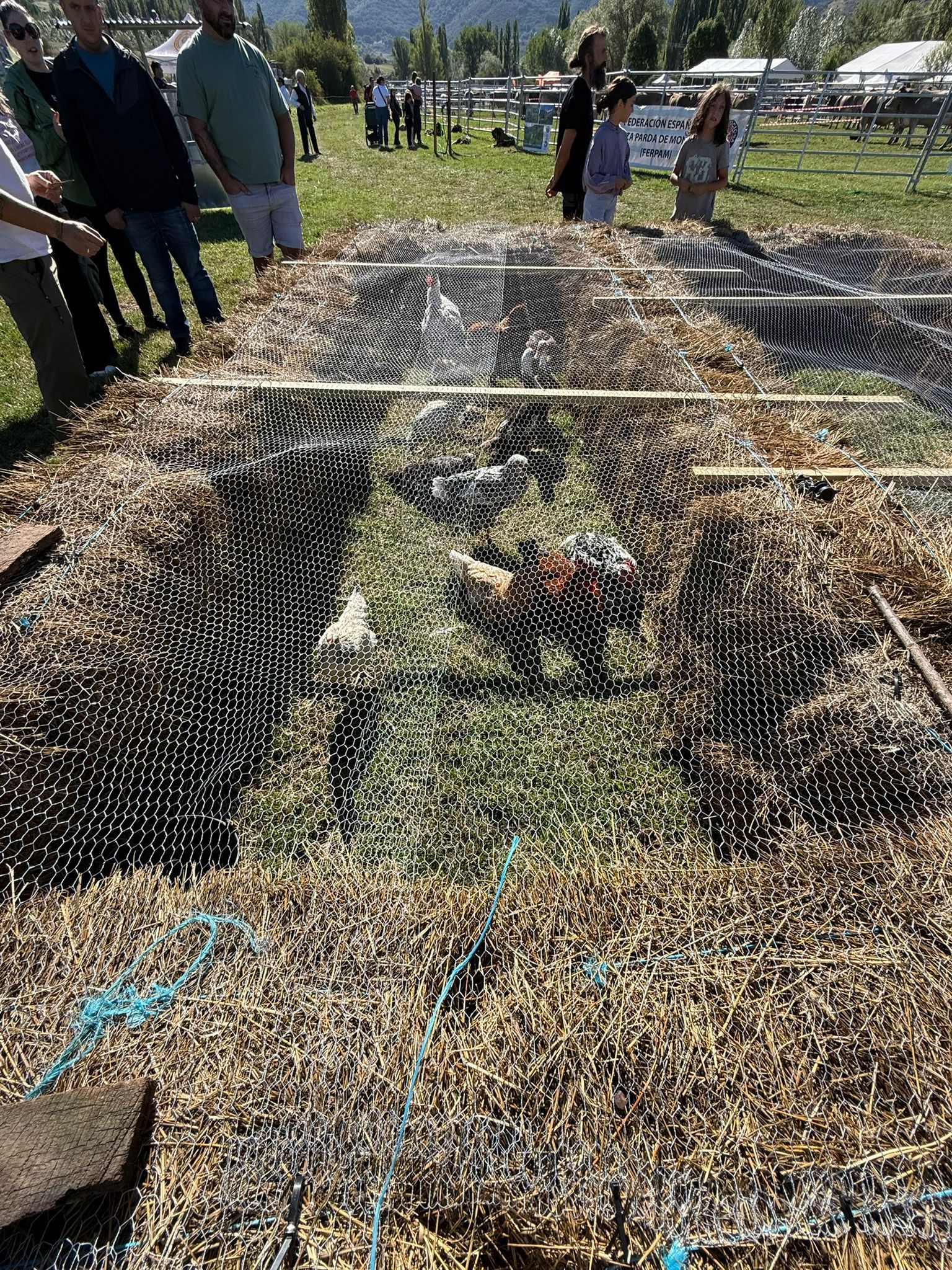 Feria Ganadera de Valle de Reyero. | L.N.C.