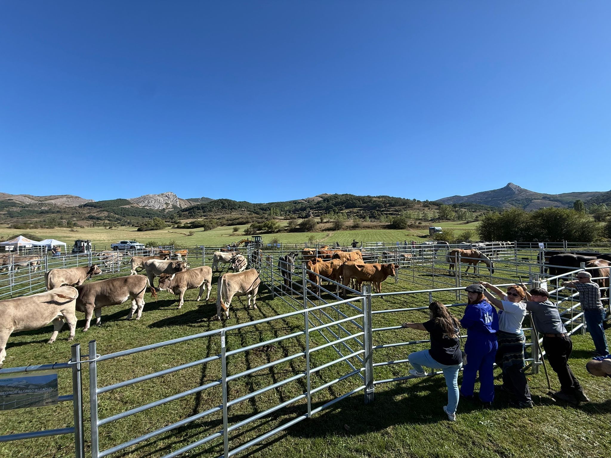 Feria Ganadera de Valle de Reyero. | L.N.C.