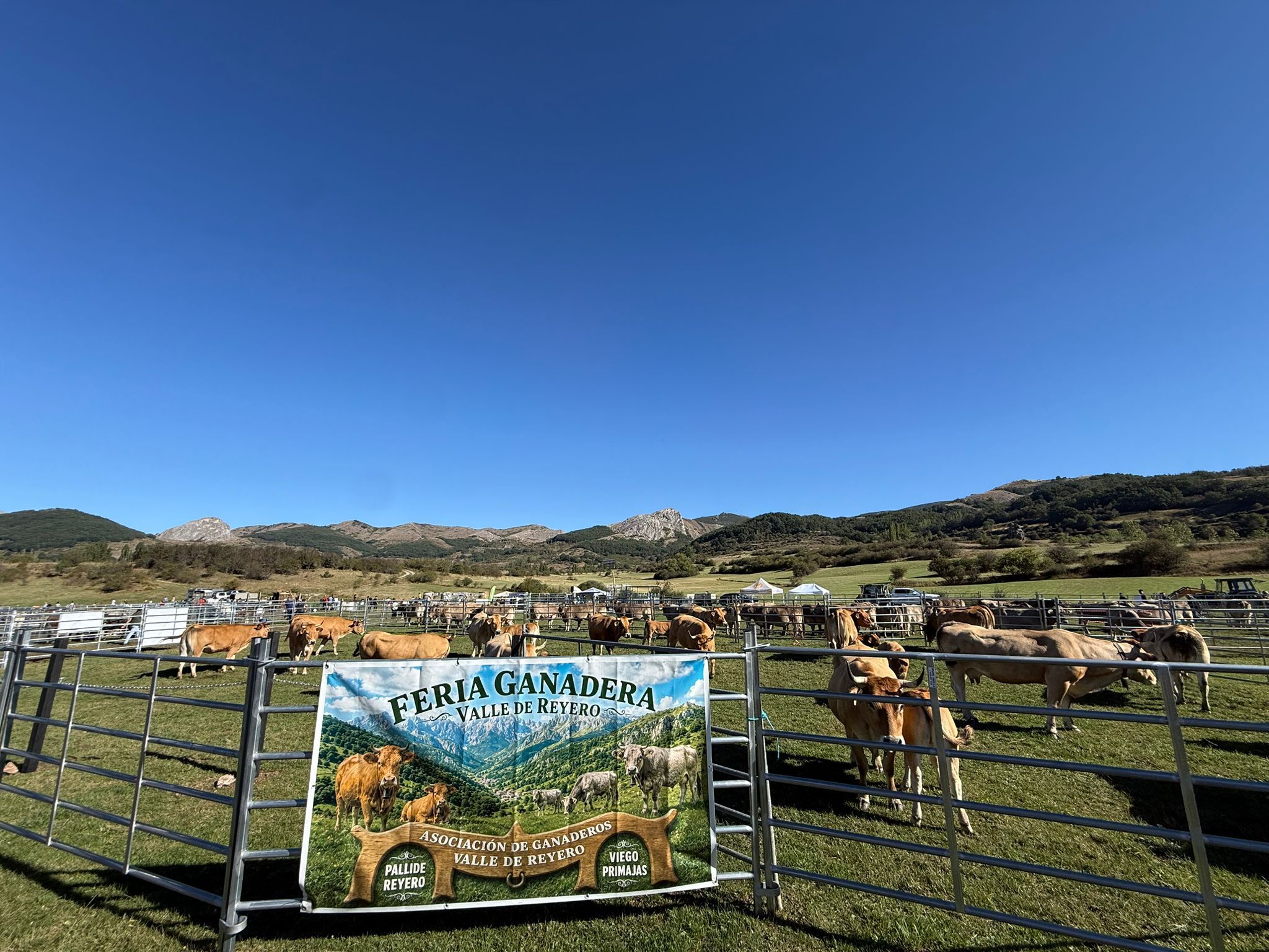 Feria Ganadera de Valle de Reyero. | L.N.C.
