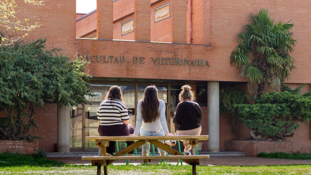 Imagen de archivo de estudiantes de la ULE. | L.N.C. Imagen de archivo de estudiantes de la ULE. | L.N.C.