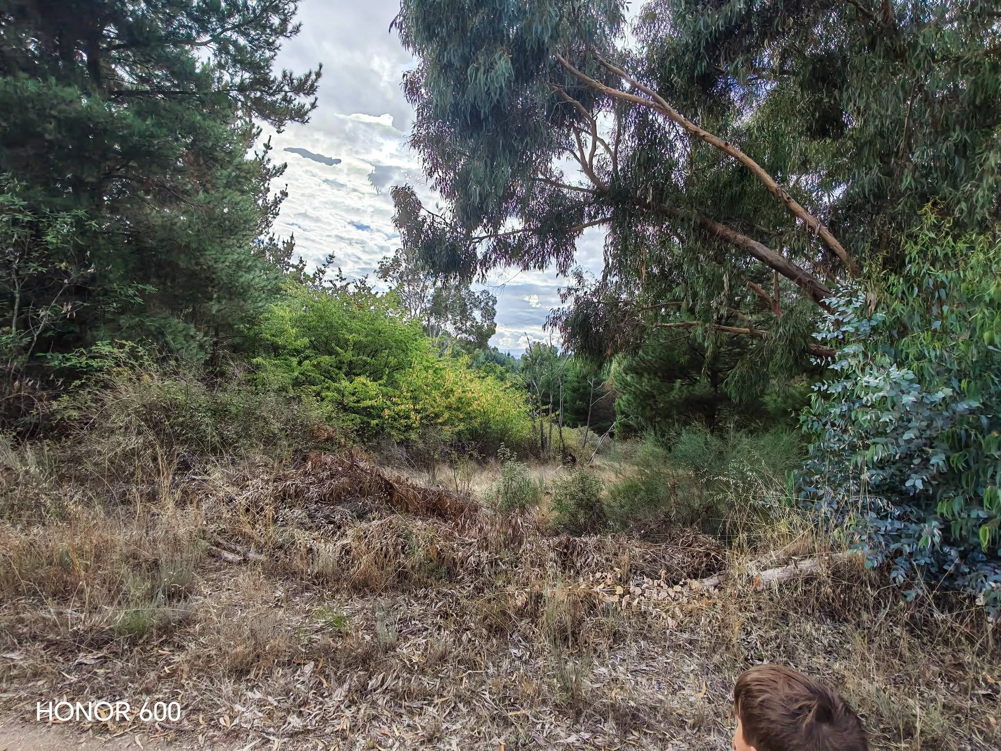 Estado de algunas zonas fotografiadas por el denunciante.