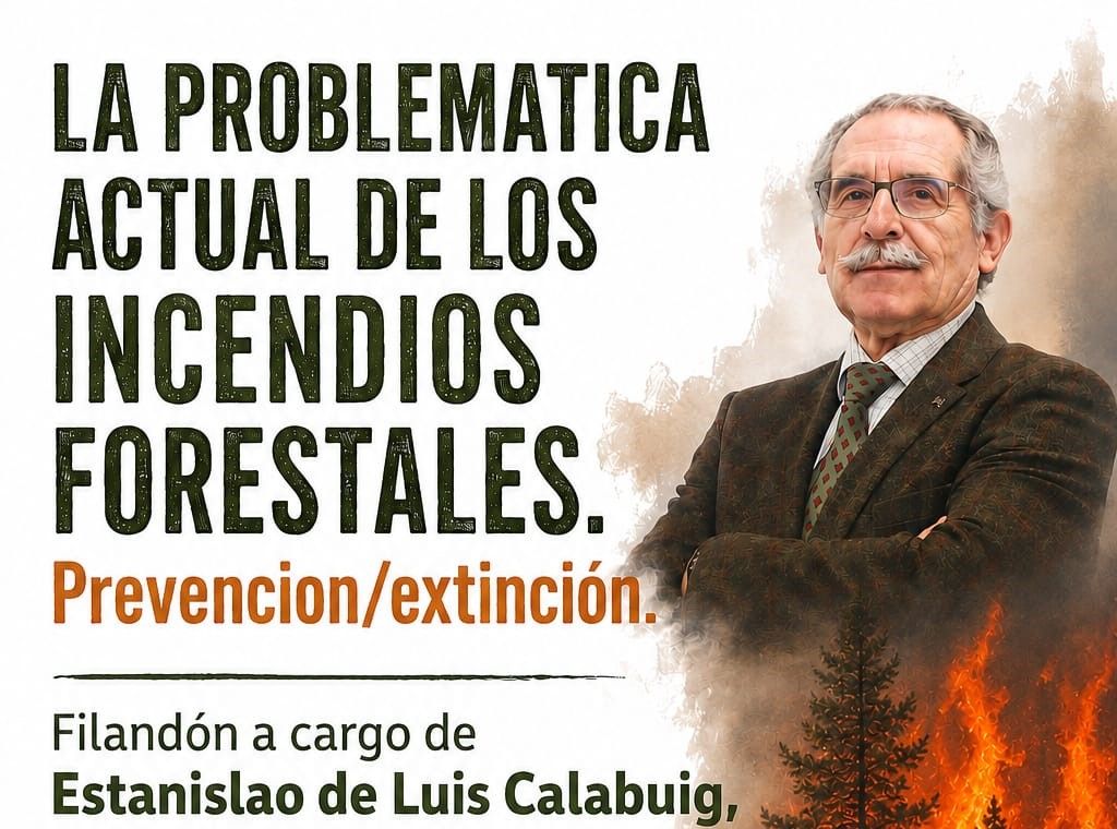 Cartel de la actividad. 