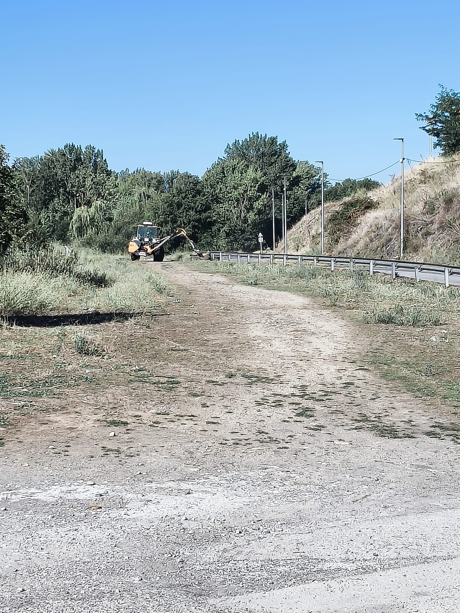 Trabajos de desbroce.