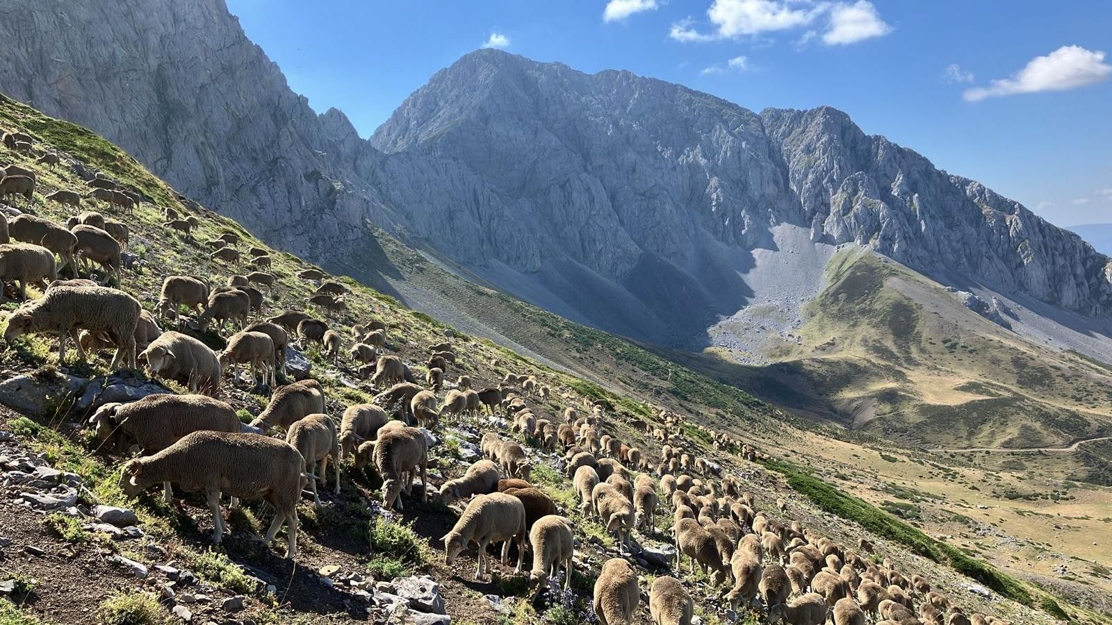 Una imagen que refleja la importancia de la ganadería en el paisaje y la vida tradicional en sintonía con lo desentrañado por el autor en su libro. | L.N.C.