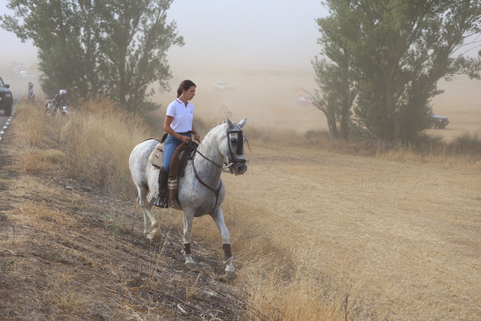 El tradicional encierro campestre de Valderas, en imágenes 