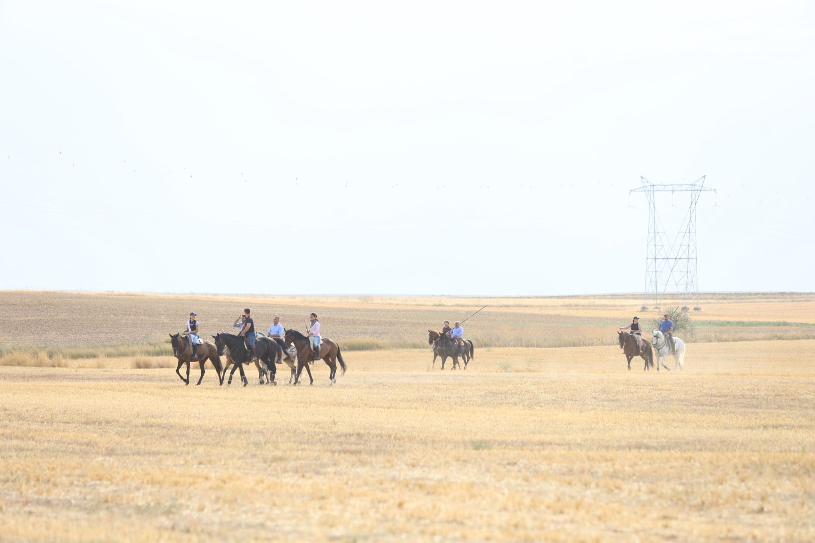 El tradicional encierro campestre de Valderas, en imágenes 