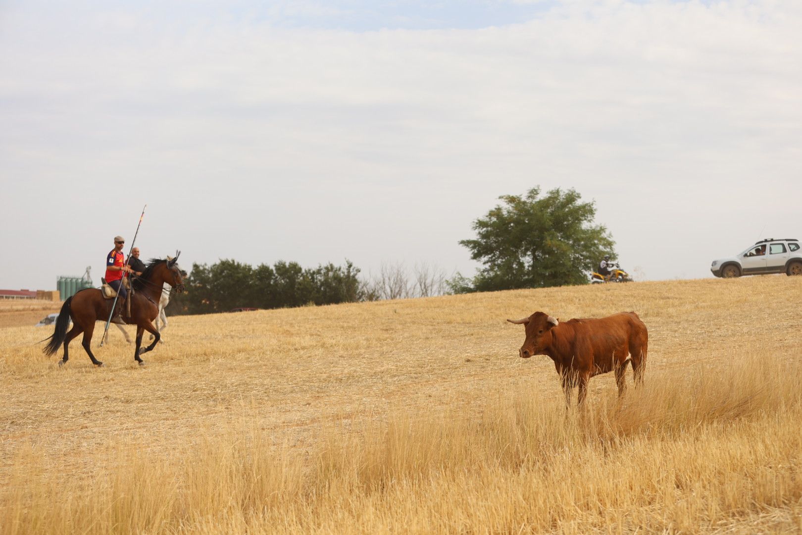 El tradicional encierro campestre de Valderas, en imágenes 