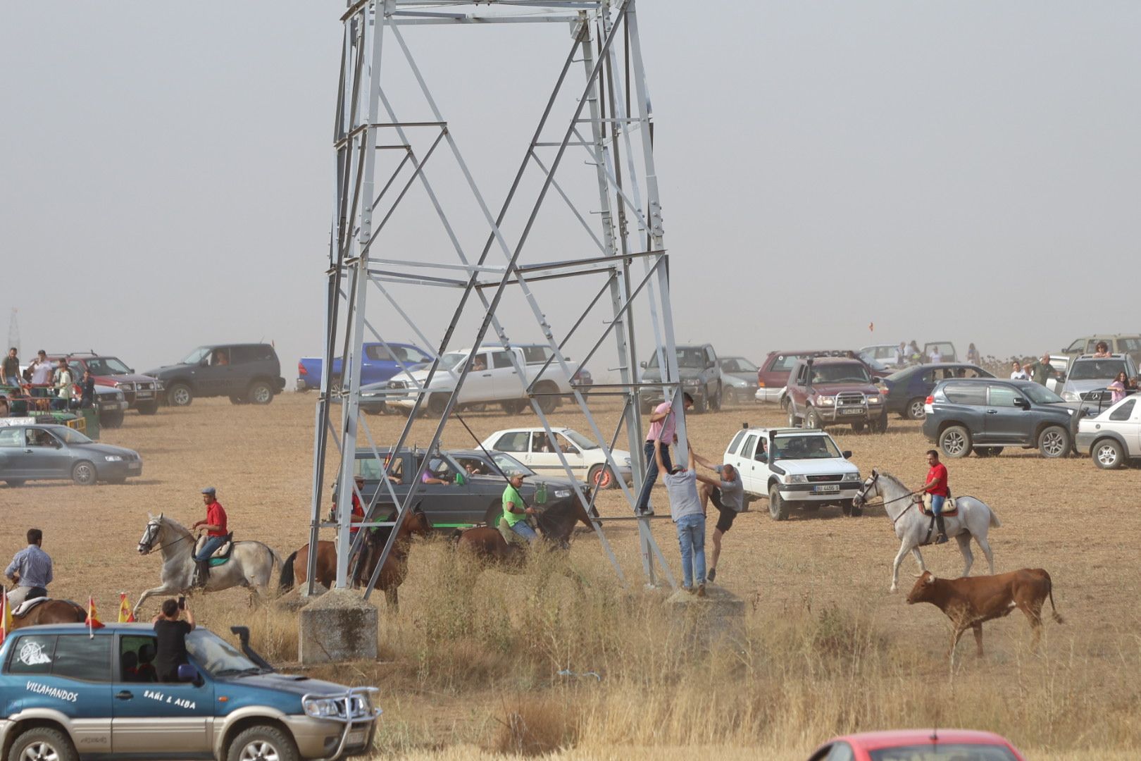 El tradicional encierro campestre de Valderas, en imágenes 